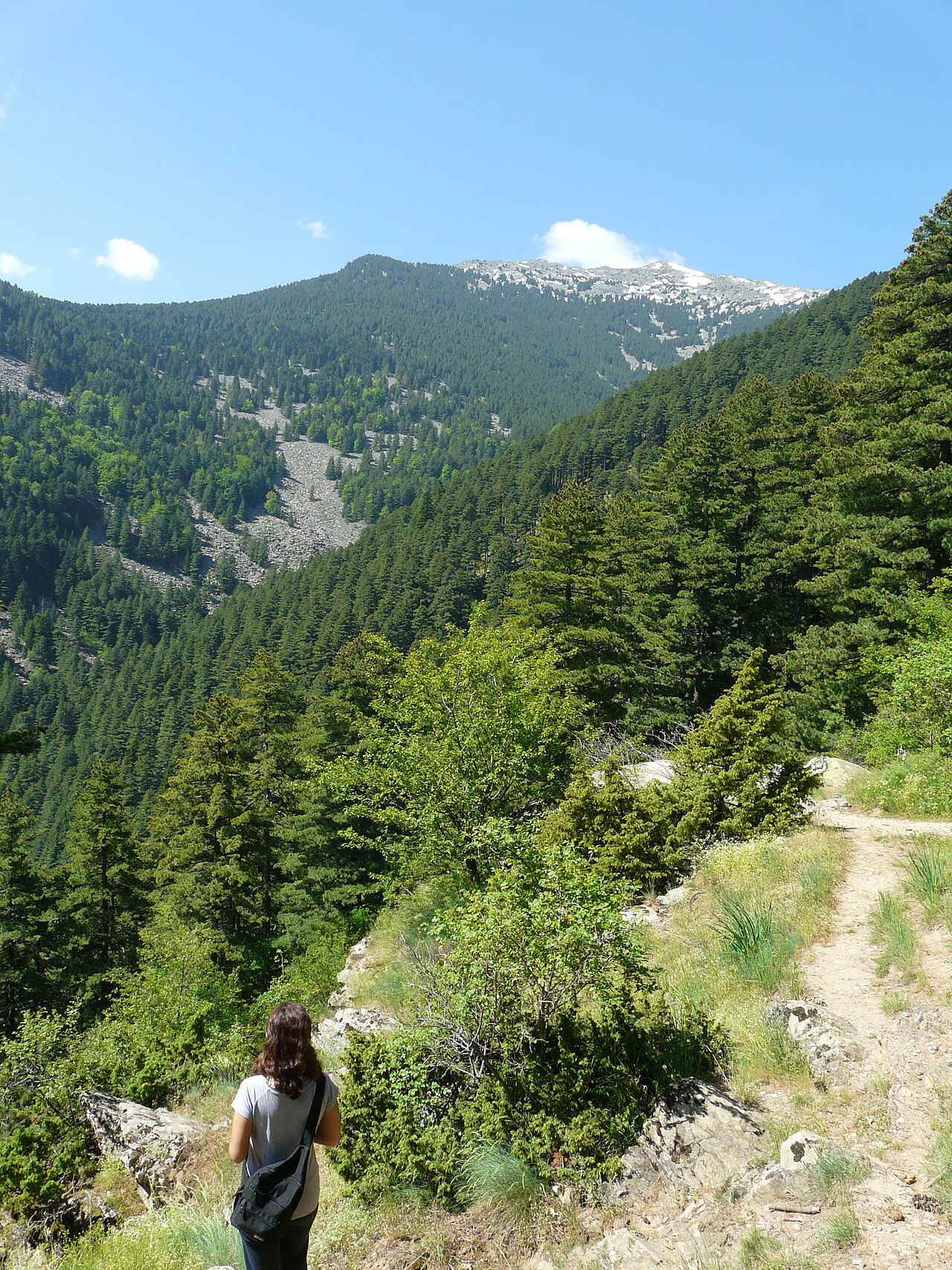 Pelister National Park trail view