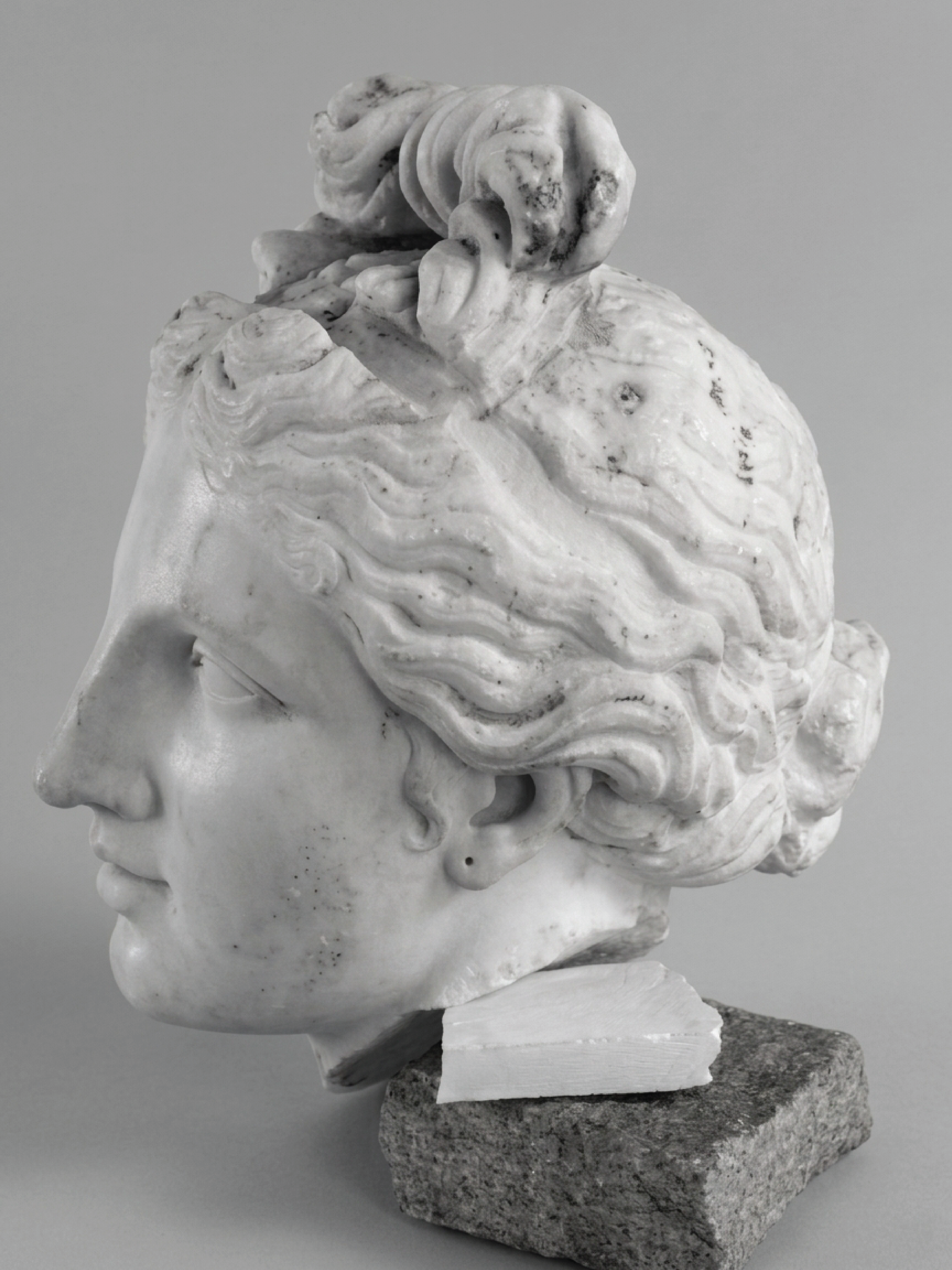 Profile view of the marble head associated with the Venus of Skupi.